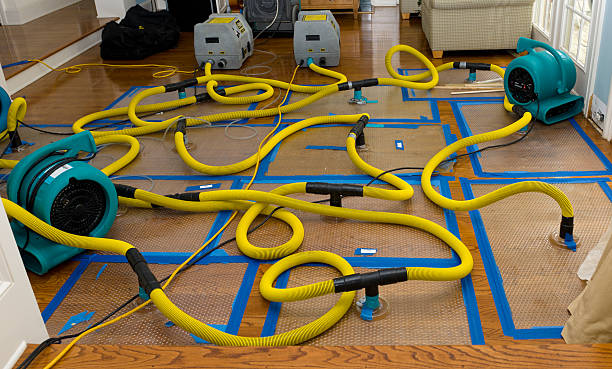 Professional Structural Drying And Dehumidification technician working in Randolph, WI